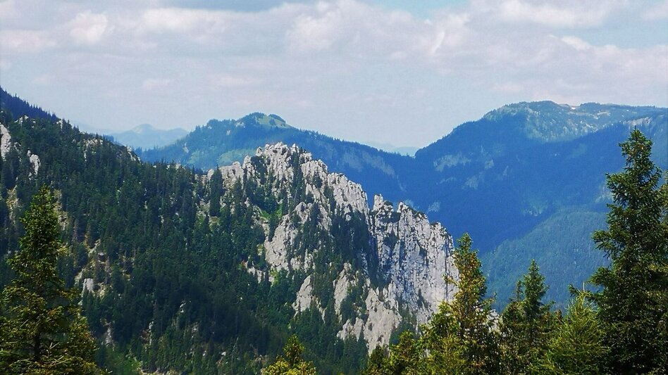 Hiking route Hike over the Senkstein to the Kleinveitschalm in the Mürzer Oberland Nature Park - Touren-Impression #2.3 | © TV Hochsteiermark