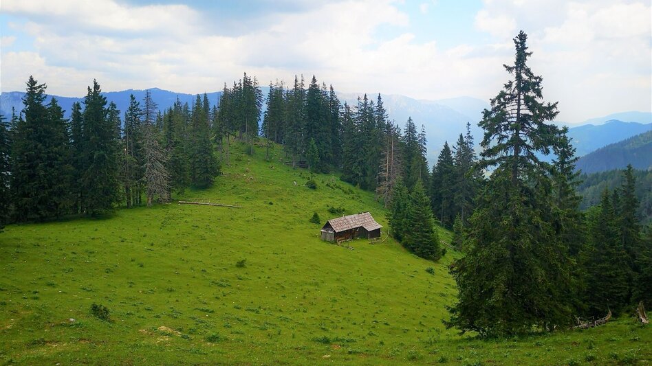 Hiking route Hike over the Senkstein to the Kleinveitschalm in the Mürzer Oberland Nature Park - Touren-Impression #2.4 | © TV Hochsteiermark