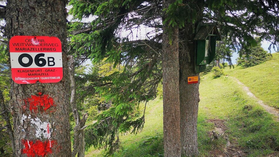 Hiking route Hike over the Senkstein to the Kleinveitschalm in the Mürzer Oberland Nature Park - Touren-Impression #2.5 | © TV Hochsteiermark
