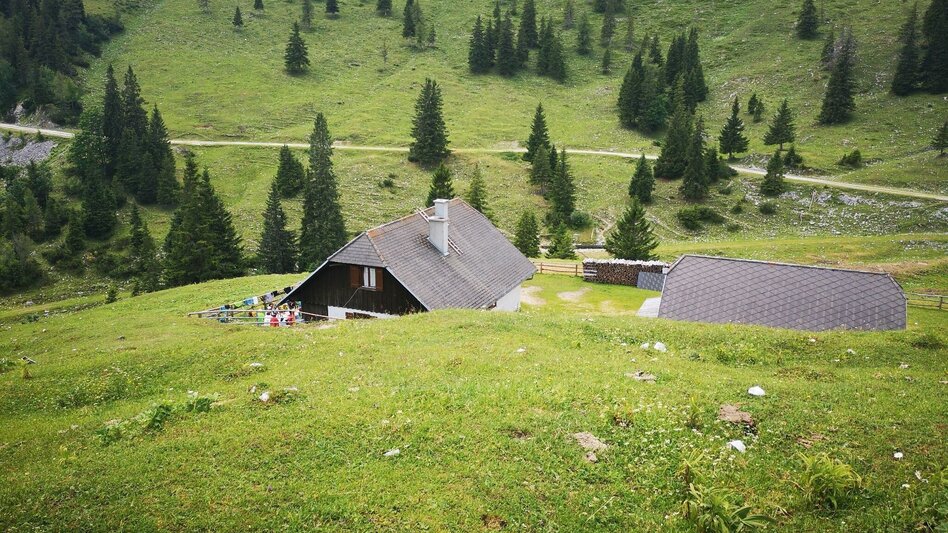 Hiking route Hike over the Senkstein to the Kleinveitschalm in the Mürzer Oberland Nature Park - Touren-Impression #2.6 | © TV Hochsteiermark