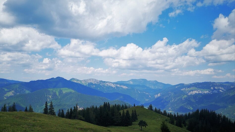 Hiking route Hike over the Senkstein to the Kleinveitschalm in the Mürzer Oberland Nature Park - Touren-Impression #2.8 | © TV Hochsteiermark
