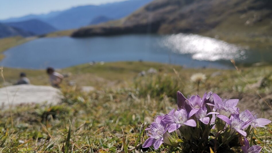 Trail Running 4 peaks - 1 lake at Loser - Touren-Impression #2.11 | © Ausseerland
