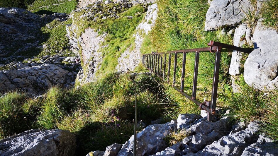 Klettersteig Kleine Reißtalersteig - Runde auf die Rax im Naturpark Mürzer Oberland - Touren-Impression #2.5 | © TV Hochsteiermark