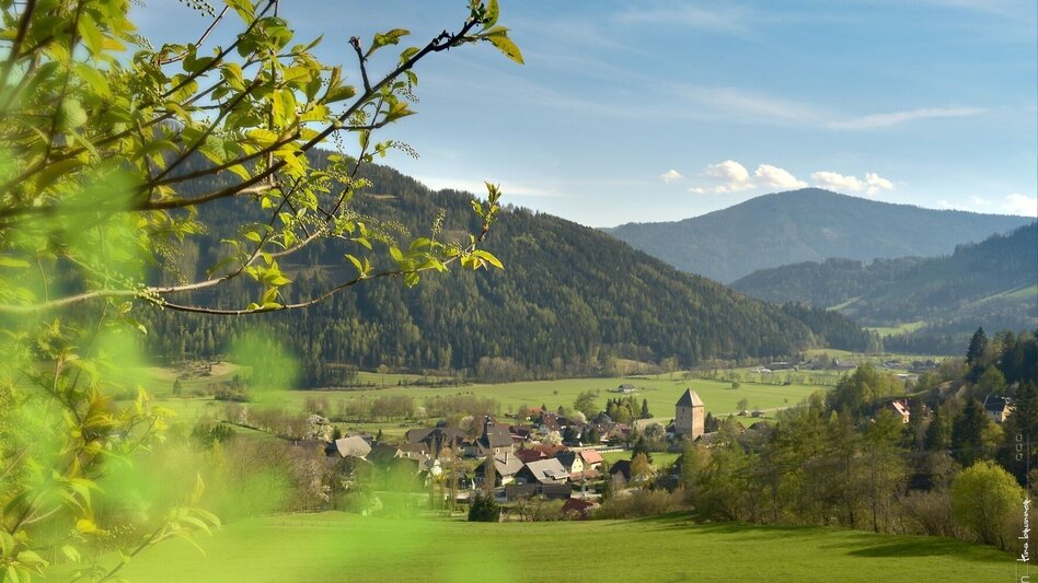 Hiking route Feistritzer round - Touren-Impression #2.2 | © Tourismusverband Murau