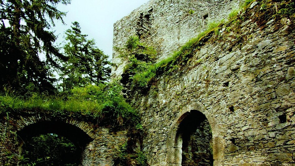 Wanderung Zu den Lipizzaner-Jungstuten auf die Brendl - Touren-Impression #2.6 | © Gemeinde Kainach