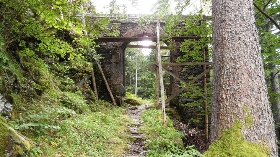 Wanderung Zu den Lipizzaner-Jungstuten auf die Brendl - Touren-Impression #2.7 | © Region Graz