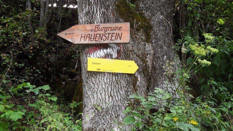 Wanderung Zu den Lipizzaner-Jungstuten auf die Brendl - Touren-Impression #2.8 | © Region Graz