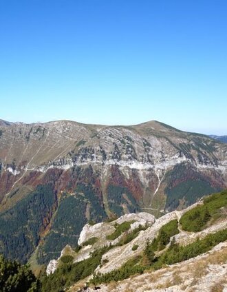 Blick vom Altenbergersteig auf die benachbarte Schneealm | Daniela Paul | © Naturpark Mürzer Oberland