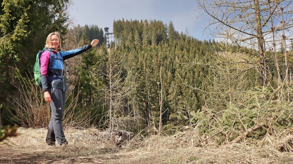Wanderung Tremmelberg "Turm im Gebirge" über Wolfsgrube - Touren-Impression #2.3 | © Weges OG