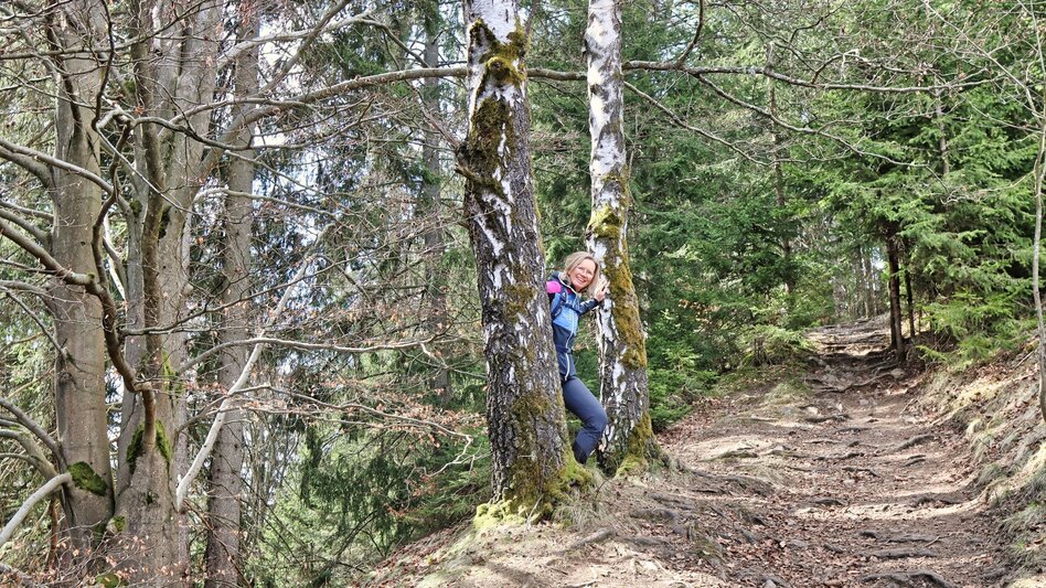 Wanderung Tremmelberg "Turm im Gebirge" über Wolfsgrube - Touren-Impression #2.4 | © Weges OG