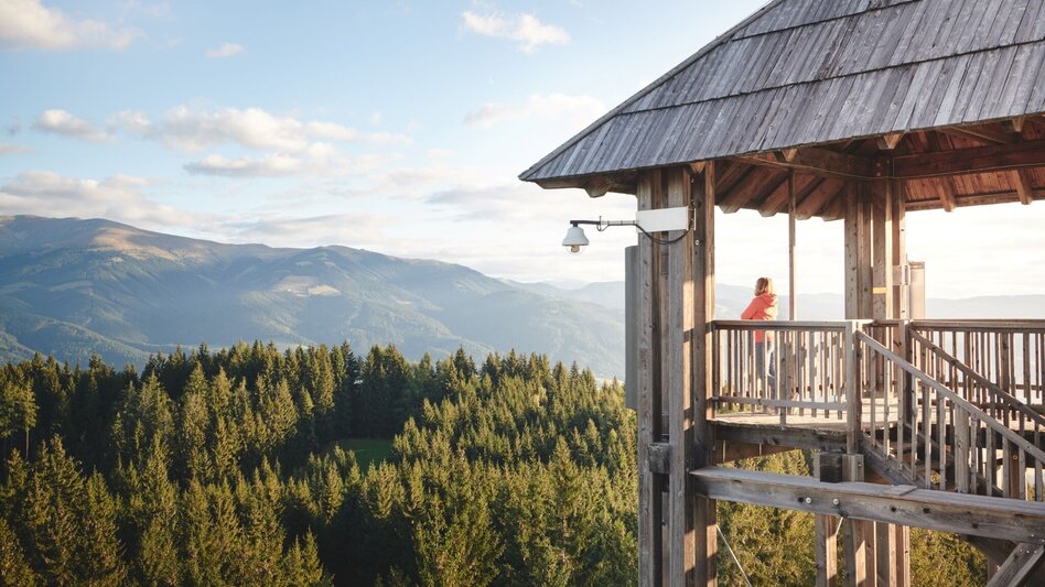 Wanderung Tremmelberg "Turm im Gebirge" über Wolfsgrube - Touren-Impression #2.1 | © Erlebnisregion Murtal