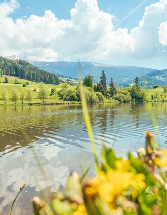 Badesee Mühlen | René Hochegger | © Tourismusverband Murau