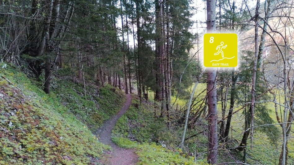 Trailrunning Fischersteig Trail - Touren-Impression #2.1 | © Erlebnisregion Schladming-Dachstein