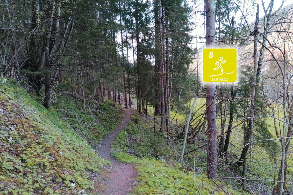 Trailrunning Fischersteig Trail - Touren-Impression #1 | © Erlebnisregion Schladming-Dachstein