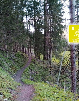 Singeltrail Am Fischersteig | © Erlebnisregion Schladming-Dachstein