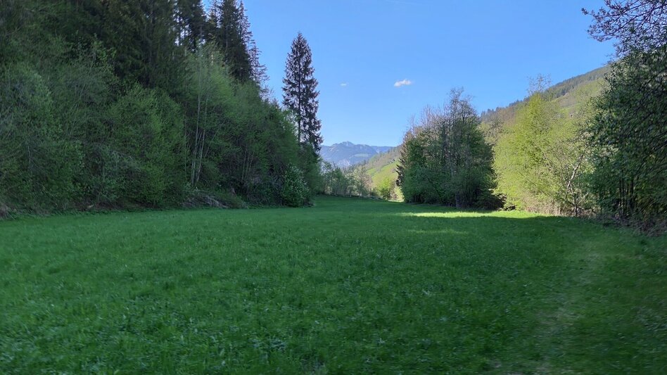 Trailrunning Fischersteig Trail - Touren-Impression #2.3 | © Erlebnisregion Schladming-Dachstein