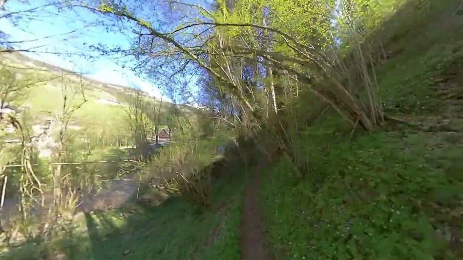 Trailrunning Fischersteig Trail - Touren-Impression #2.2 | © Roland Gutwenger