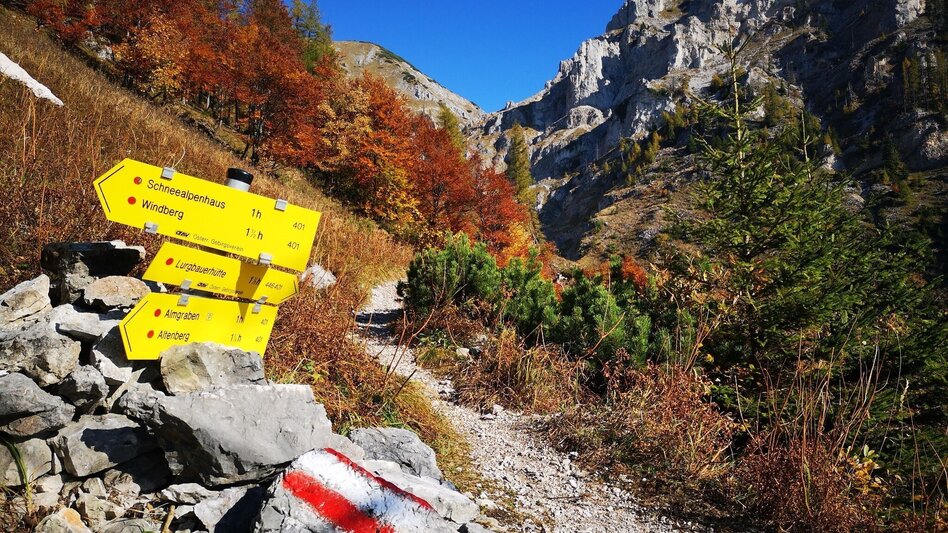 Hiking route Via the Alm- and Blarergraben to the Schneealm in the Mürzer Oberland Nature Park - Touren-Impression #2.1 | © TV Hochsteiermark