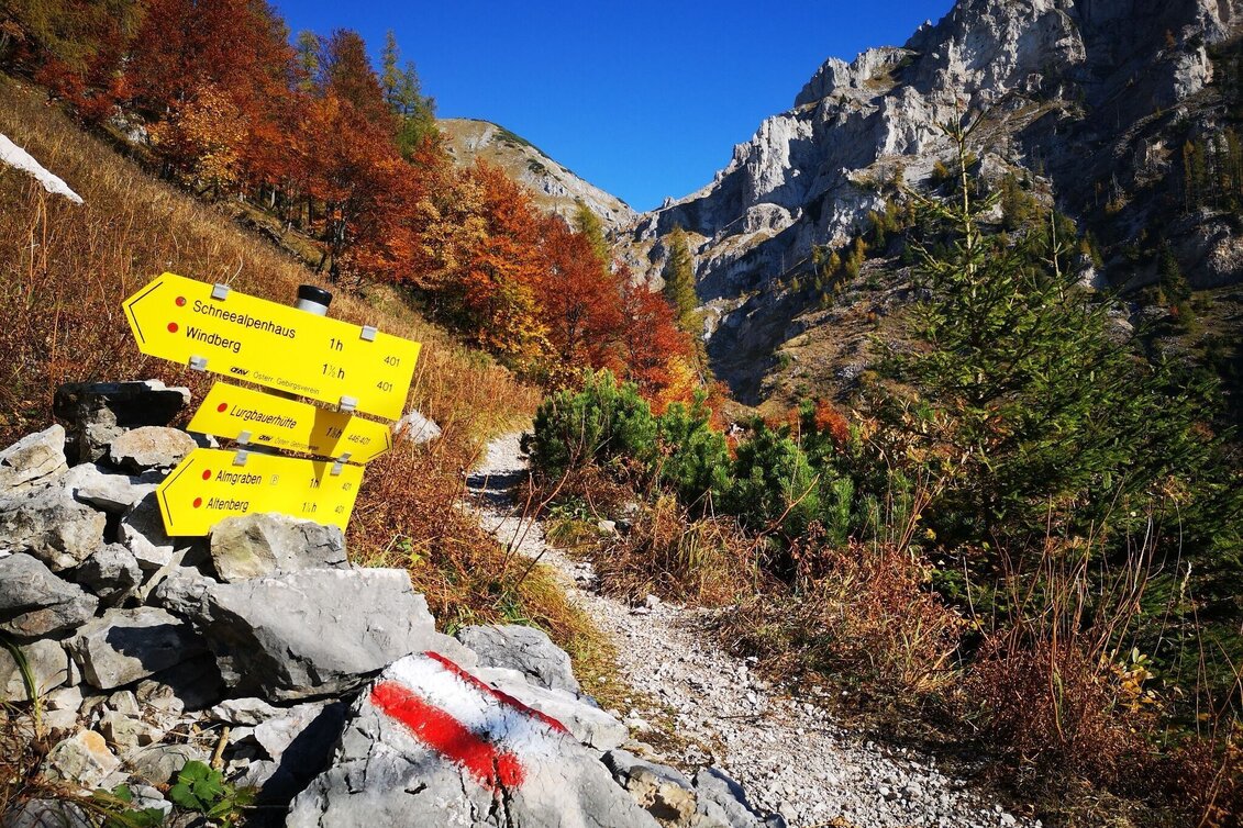 Hiking route Via the Alm- and Blarergraben to the Schneealm in the Mürzer Oberland Nature Park - Touren-Impression #1 | © TV Hochsteiermark