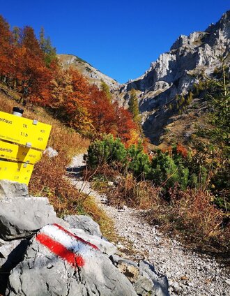 Im Almgraben | Andreas Steininger | © TV Hochsteiermark