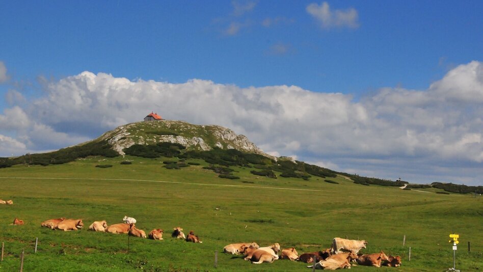 Hiking route Via the Alm- and Blarergraben to the Schneealm in the Mürzer Oberland Nature Park - Touren-Impression #2.4 | © TV Hochsteiermark