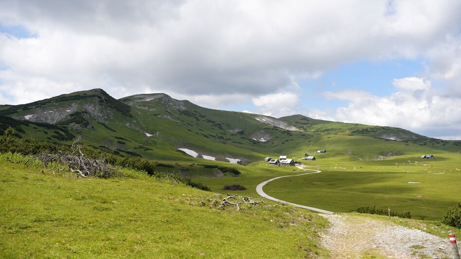 Hiking route Via the Alm- and Blarergraben to the Schneealm in the Mürzer Oberland Nature Park - Touren-Impression #2.6 | © TV Hochsteiermark