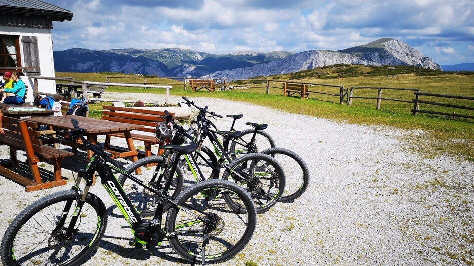 Hiking route Via the Alm- and Blarergraben to the Schneealm in the Mürzer Oberland Nature Park - Touren-Impression #2.11 | © TV Hochsteiermark