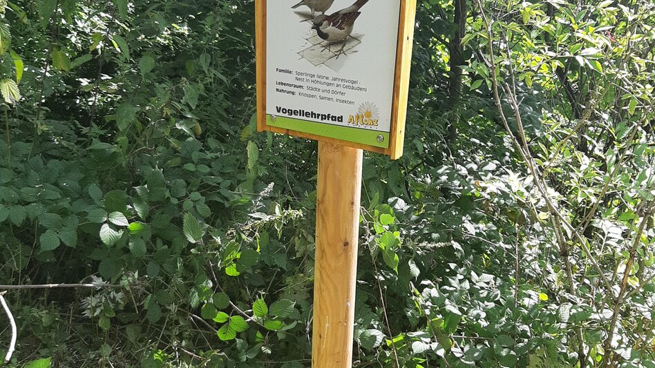 Nordic Walking Hausberg Rundmeile - Touren-Impression #2.3 | © Kurverwaltung Aflenz