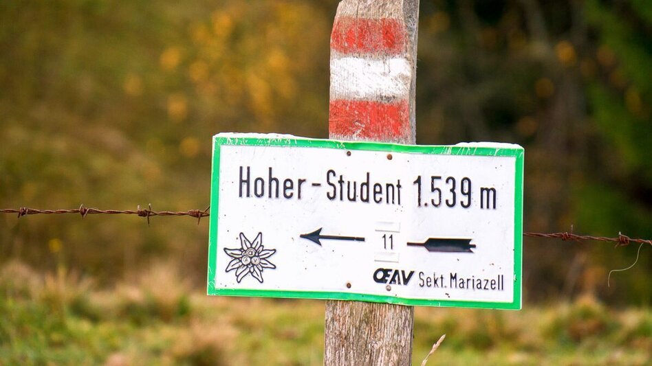 Hiking route Over the Freinsattel to the Hohe Student in the Mürzer Oberland Nature Park - Touren-Impression #2.1 | © TV Hochsteiermark
