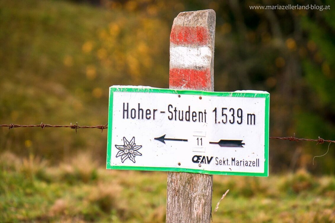 Hiking route Over the Freinsattel to the Hohe Student in the Mürzer Oberland Nature Park - Touren-Impression #1 | © TV Hochsteiermark
