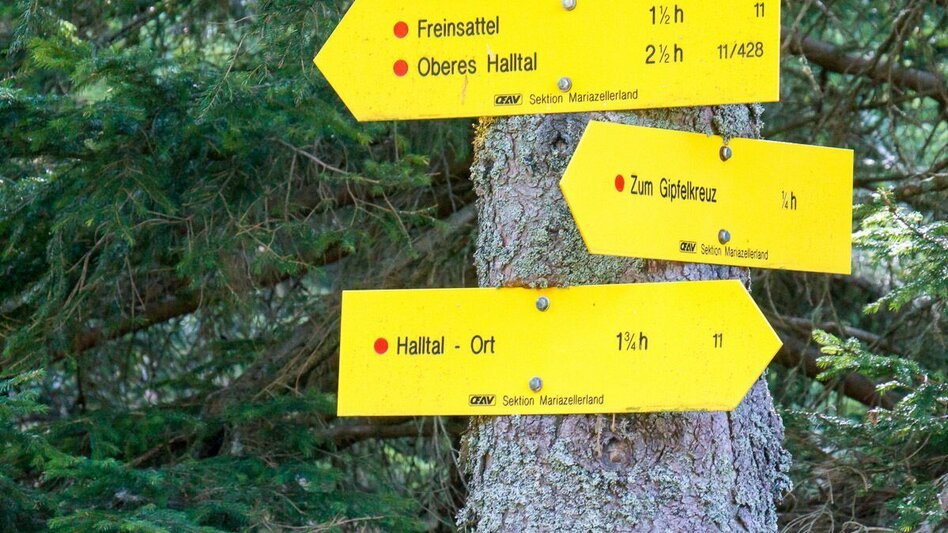 Hiking route Over the Freinsattel to the Hohe Student in the Mürzer Oberland Nature Park - Touren-Impression #2.2 | © TV Hochsteiermark