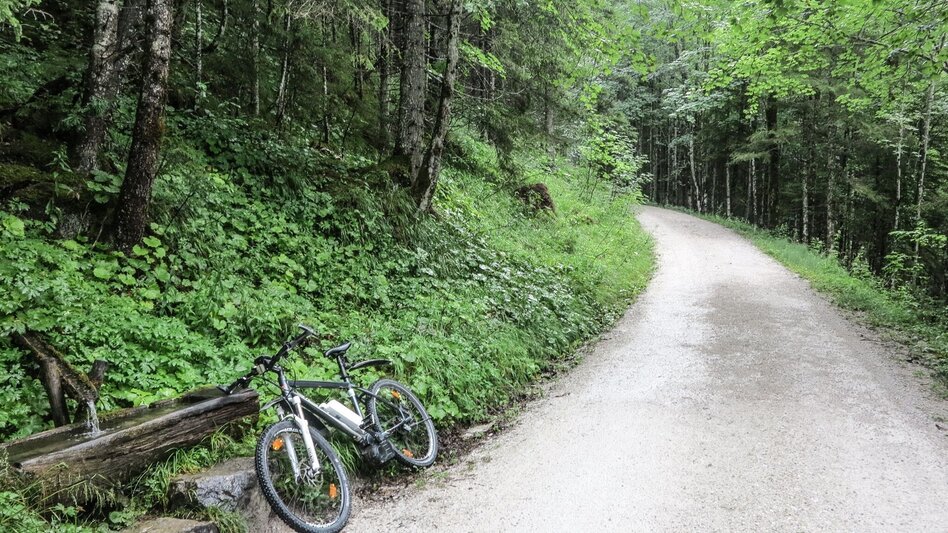 Mountain Biking Hochscheiben - Ennsbodenweg  Mountainbiketour - Touren-Impression #2.2 | © TV Gesäuse