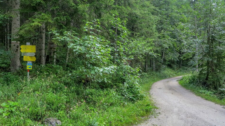 Mountain Biking Hochscheiben - Ennsbodenweg  Mountainbiketour - Touren-Impression #2.3 | © TV Gesäuse