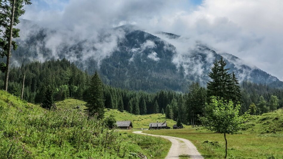 Mountain Biking Hochscheiben - Ennsbodenweg  Mountainbiketour - Touren-Impression #2.5 | © TV Gesäuse