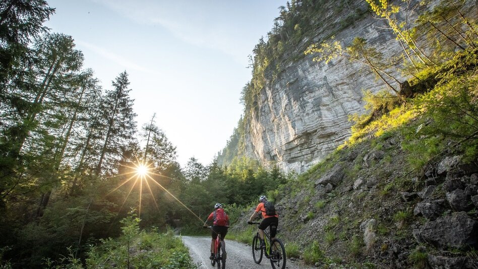 Gravelbike Gravelbike Tour um den Sarstein - Touren-Impression #2.1 | © bikeboard.at