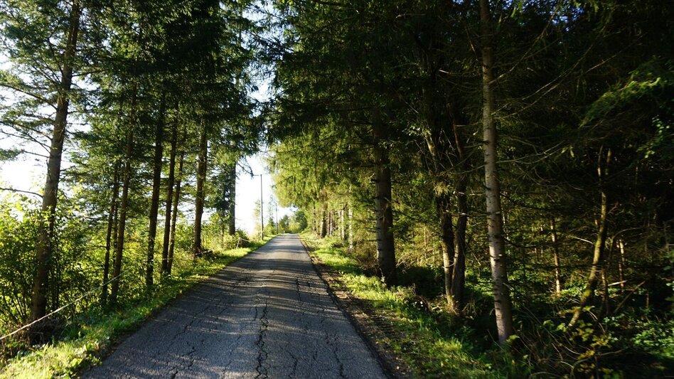 Wanderung Von Obdach über Erlebniswanderweg zur Aussichtsplattform St. Anna - Touren-Impression #2.4 | © Erlebnisregion Murtal
