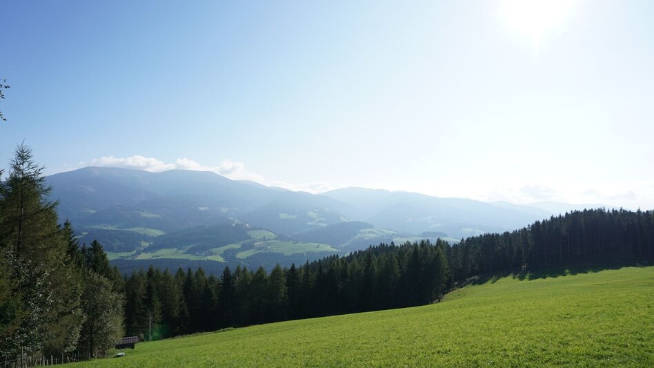 Wanderung Von Obdach über Erlebniswanderweg zur Aussichtsplattform St. Anna - Touren-Impression #2.7 | © Erlebnisregion Murtal
