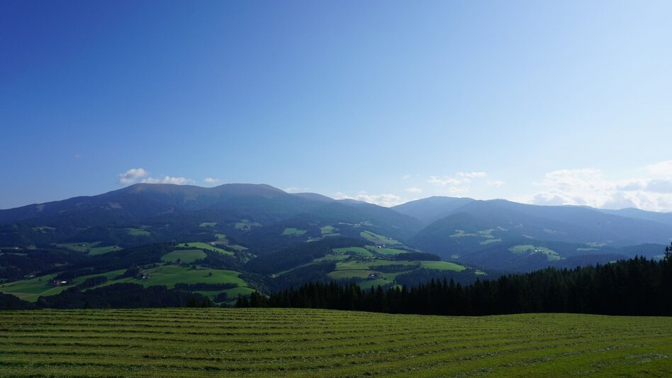 Wanderung Von Obdach über Erlebniswanderweg zur Aussichtsplattform St. Anna - Touren-Impression #2.9 | © Erlebnisregion Murtal