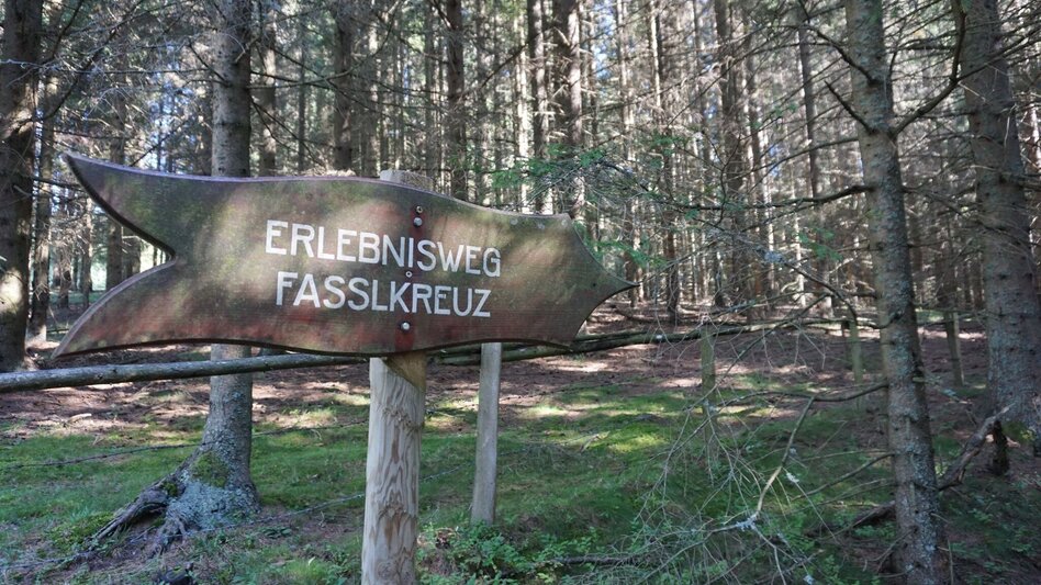 Wanderung Von Obdach über Erlebniswanderweg zur Aussichtsplattform St. Anna - Touren-Impression #2.10 | © Erlebnisregion Murtal