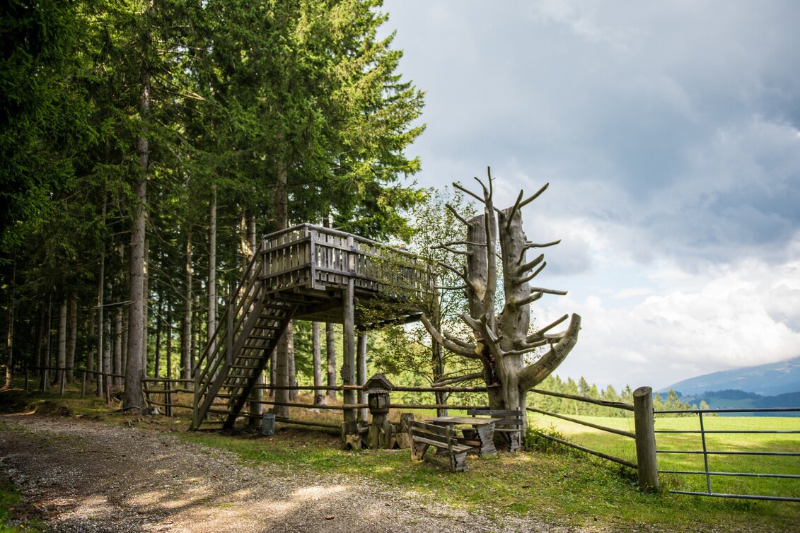Wanderung Von Obdach über Erlebniswanderweg zur Aussichtsplattform St. Anna - Touren-Impression #1 | © A_FOESSL