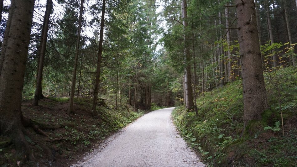 Hiking route Saugmoarunde - Touren-Impression #2.1 | © Erlebnisregion Murtal