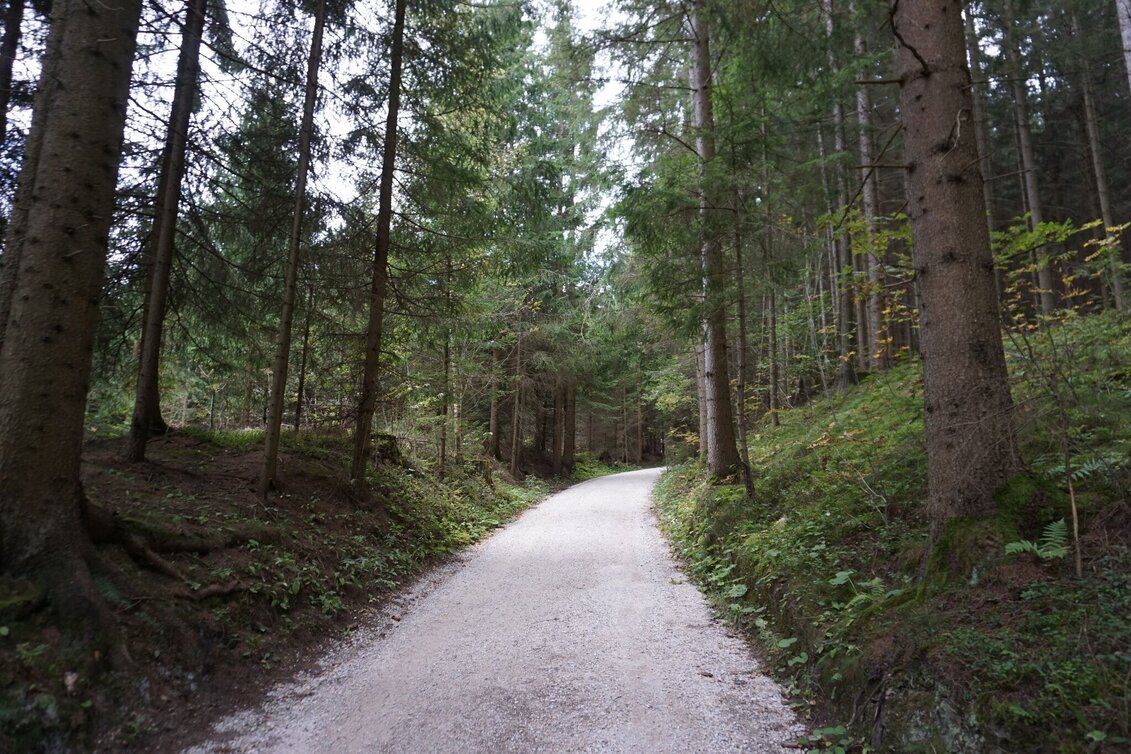 Hiking route Saugmoarunde - Touren-Impression #1 | © Erlebnisregion Murtal