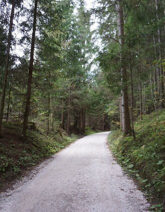 Breiter Schotterweg durch den Wald | 50plus Campingpark Fisching | © Erlebnisregion Murtal
