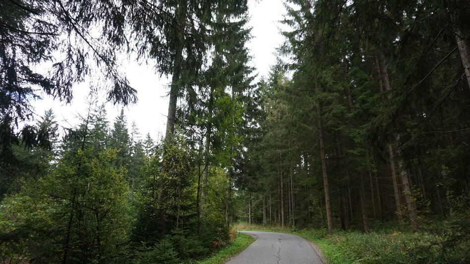 Hiking route Saugmoarunde - Touren-Impression #2.3 | © Erlebnisregion Murtal