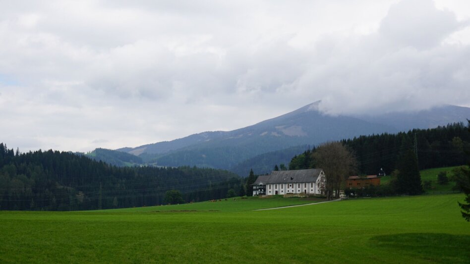 Hiking route Saugmoarunde - Touren-Impression #2.4 | © Erlebnisregion Murtal