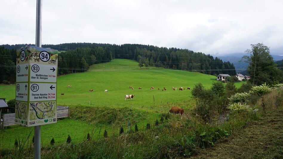 Hiking route Saugmoarunde - Touren-Impression #2.8 | © Erlebnisregion Murtal