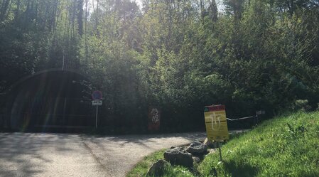 knight rider trail graz plabutsch_img_41052754 | © Region Graz | © Region Graz