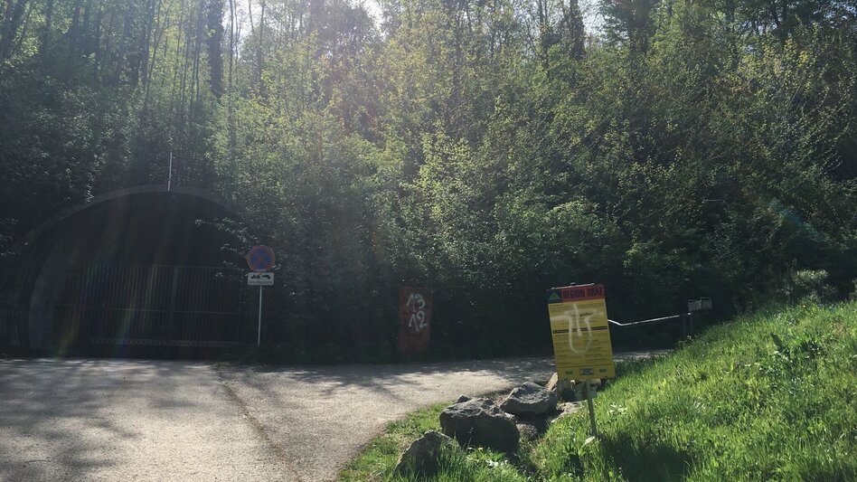 Mountain Biking Knight Rider Trail Graz Plabutsch - Touren-Impression #2.1 | © Region Graz