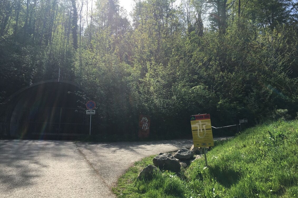 Mountain Biking Knight Rider Trail Graz Plabutsch - Touren-Impression #1 | © Region Graz