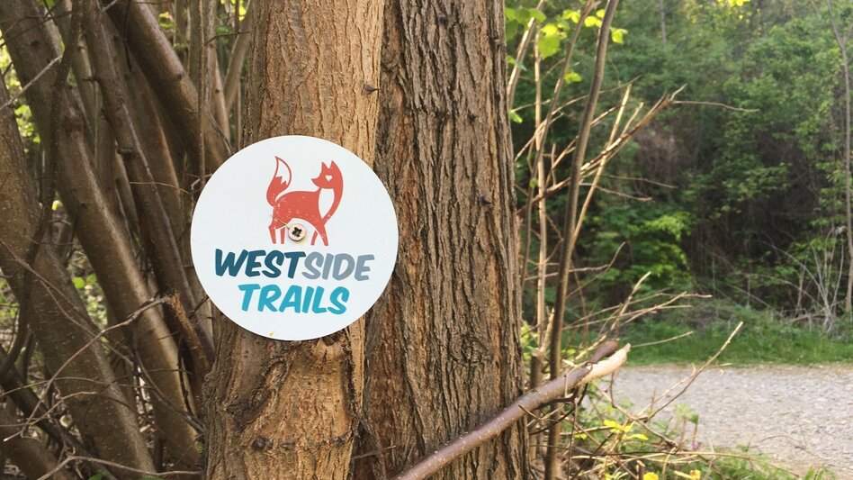 Mountain Biking Knight Rider Trail Graz Plabutsch - Touren-Impression #2.3 | © Region Graz